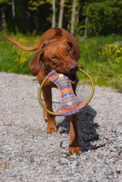 Nightless Night Squeaky Frisbee